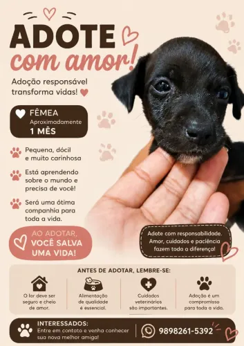 Doação