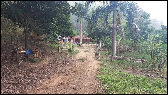 FAZENDA NO ASFALTO SILVEIRAS - SP