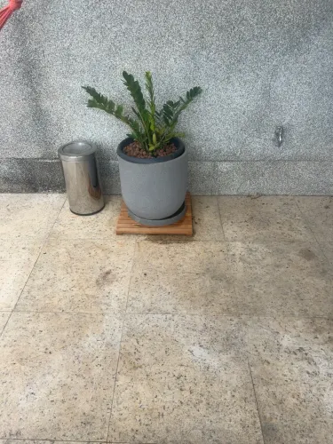 Conjuntos vasos e plantas
