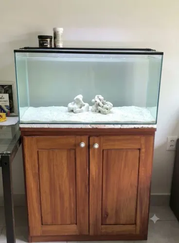 Aquário marinho com sistema de filtragem