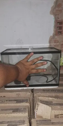 Aquario com a bonba.