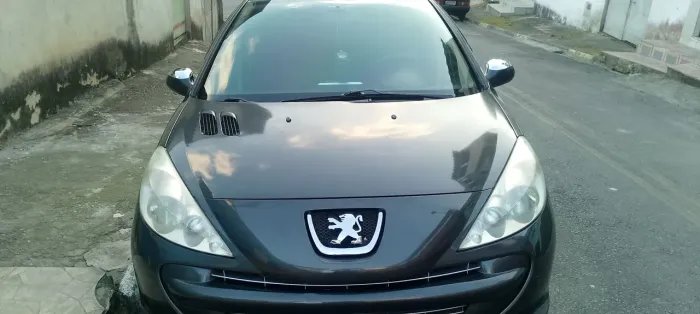 Peugeot 207 XR 1.4 Flex 8V 5P 2012