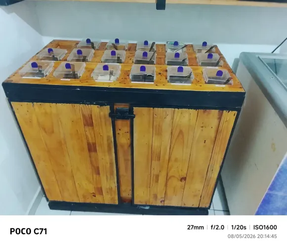 Balcão de açaí 