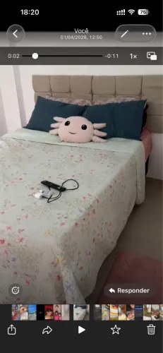 Cama box