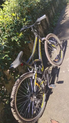 Bicicleta Caloi Andes Aro 26