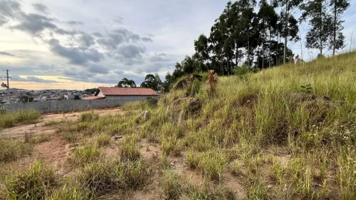 Lote para Venda em Toledo, Chácaras Residencial Cachoeira