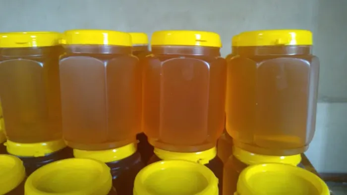 Potes de Mel Abelha Europa vendo (favor ler anuncio)