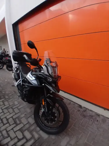 Tiger 900 GT Low 