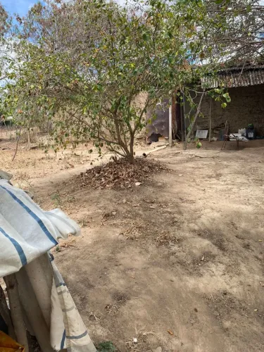 Sítio na beira da barragem Ipojuca