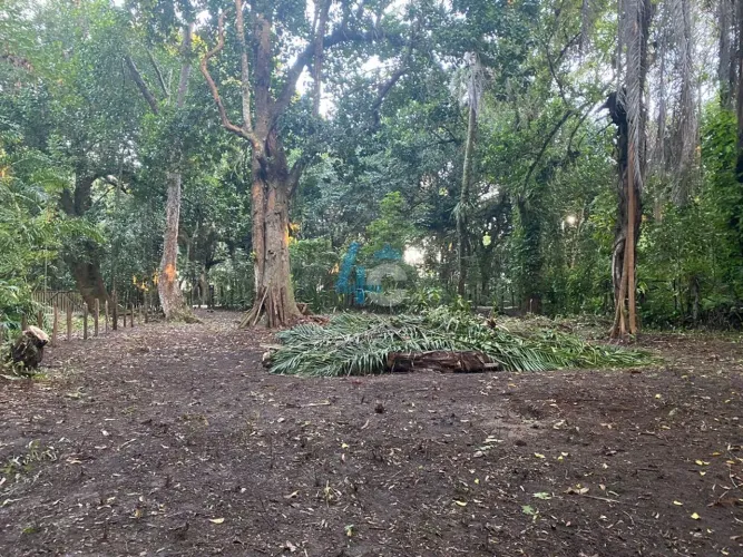 Lote plano em Coroa vermelha, Santa Cruz Cabrália - BA