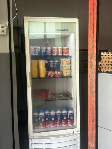 Freezer Expositor Vertical 110v