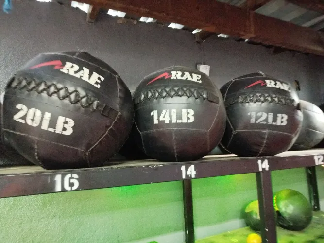 Wall ball bola para funcional e Cross