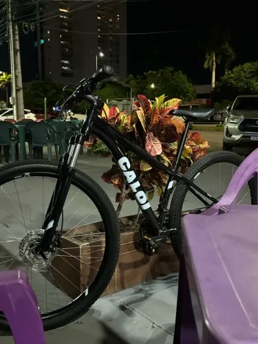 Bicicleta aro 29