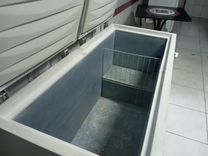 Vendo Friez duas portas motor 200 funcionando mais não está gelando pode ser o gás vendo e