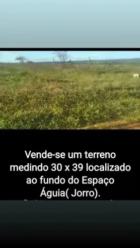 Terreno bem localizado.