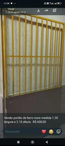 Portão de ferro novo