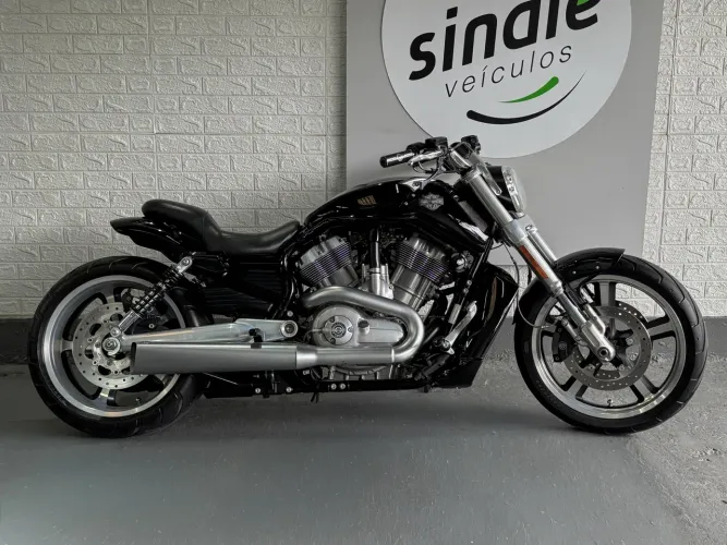 Harley Davidson VRSCF Muscle 1.250 2013