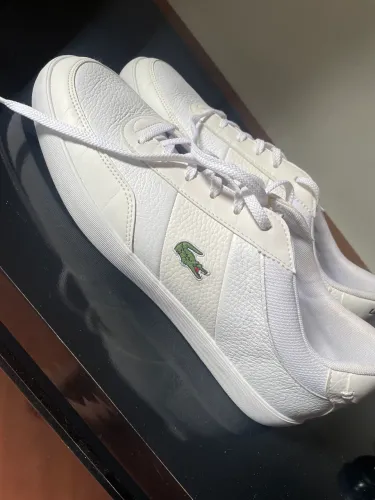 Tênis Lacoste original NOVO