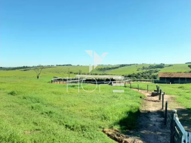 Fazenda à venda 217 alqueires com estrutura completa para pecuária Moreira Sales PR