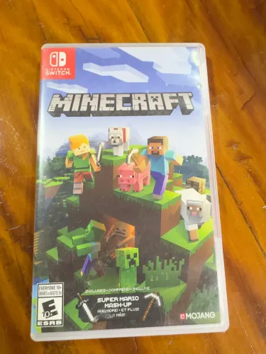 Minecraft Nintendo Switch