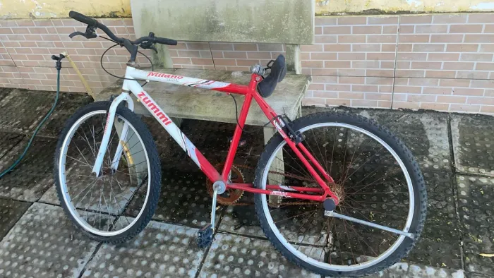 Bicicleta Milano