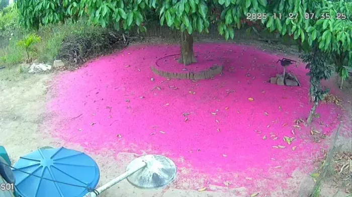 Vendo Sítio com 1hectare a 200 metros da BR 104