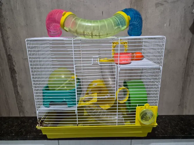 Casinha para Hamsters