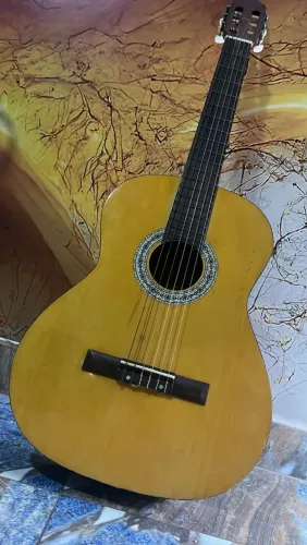 Violão Thomas TCG390