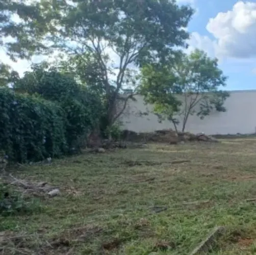 Condomínio mini chacaras setor habitacional jardim botânico lago sul