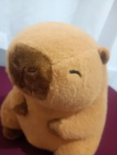 Capivara de Pelúcia 25 cm - Fofura Brasileira que Abraça Você ?