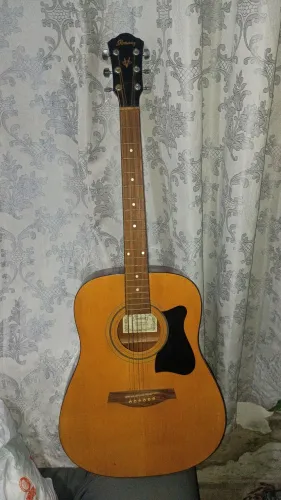 Violão Ibanez