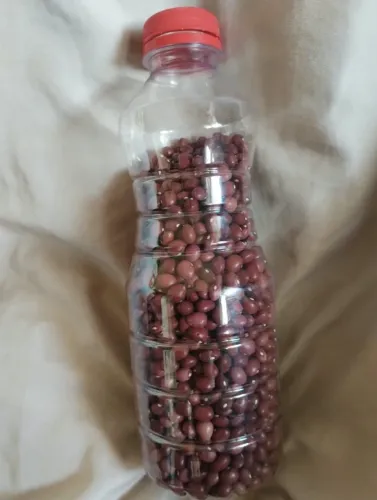 Feijão fava vermelha, amarela e branca venda