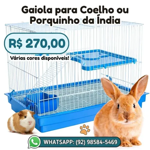 Gaiola para coelho ou porquinho da índia, várias cores a pronta entrega!