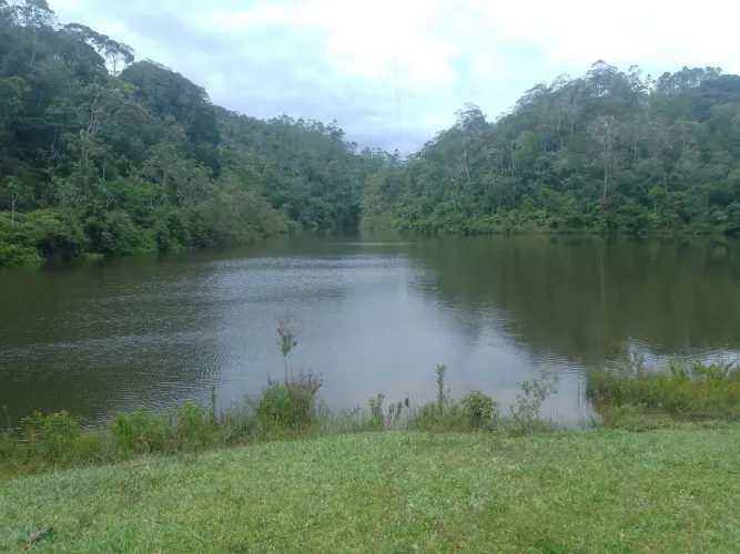 Propriedade Viana são Paulo de Viana 