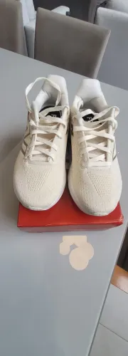 Asics 1080 V14