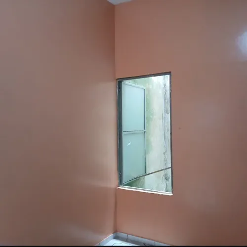 Pintor profissional 