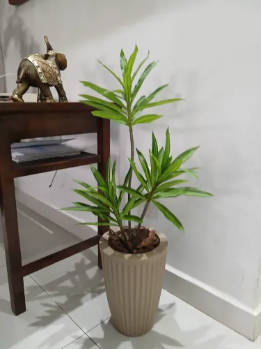 Vaso com yucca artificial para decoração