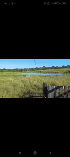 Fazenda de 15.6 alqueirão 25km de Aragarça Goiás R$:2.5 milhões pega casa ou apto Goiania