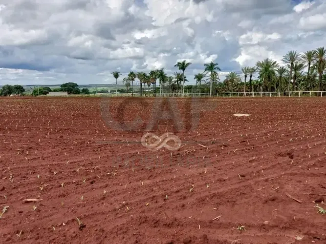 Sítio à venda, 20235 m² por R$ 2.023.500,00 - Área Rural de Artur Nogueira - Artur Nogueir