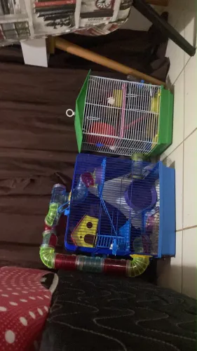 Gaiolas hamster