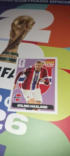 EXTRA STICKER "BORDO" HALLAND
