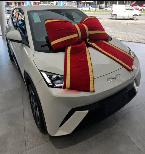 OPORTUNIDADE DE ALUGUEL DE CARRO ELÉTRICO EM FEIRA DE SANTANA!