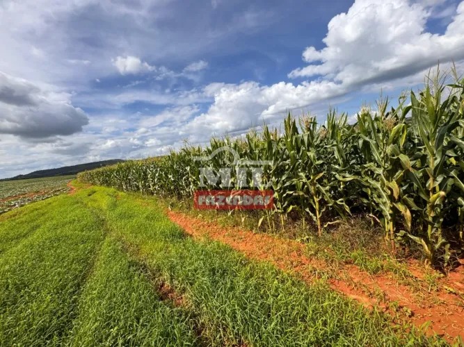 Chácara 11.57 alqueires (56 hectares) Corumbá de Goiás