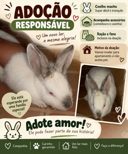 Doação Responsável
