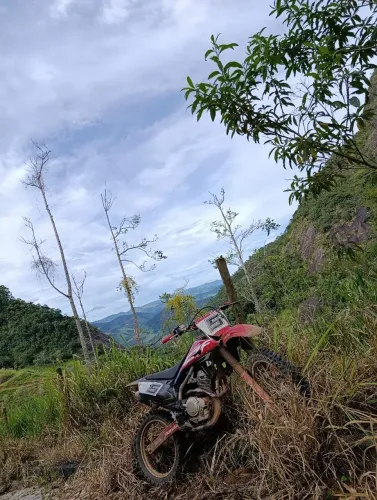 CRF 250f 