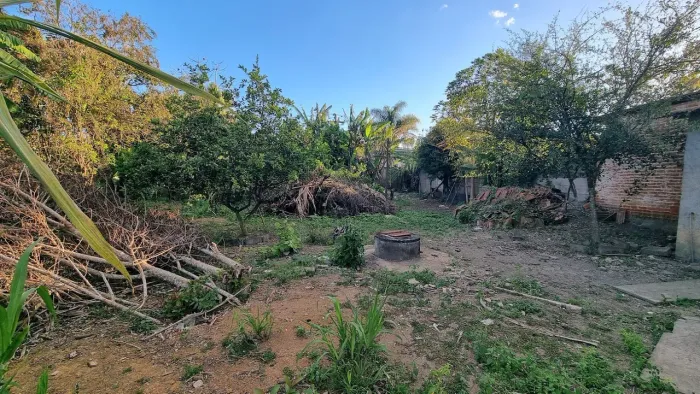 Lote / Terreno - Nova California