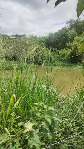 Sítio em Lagoa de Roça com terra fértil 