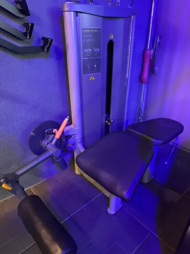 Flexor deitado RT Movement