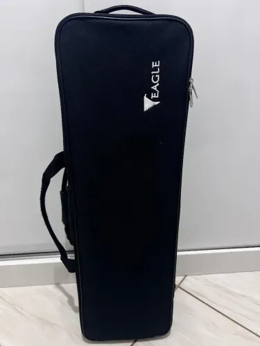 Violino Eagle
