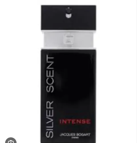 Perfume Silver Scent Intense